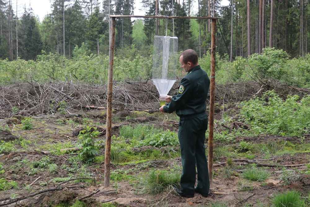 Фото: Чечерский вестник