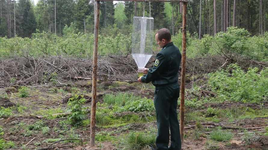 Фото: Чечерский вестник