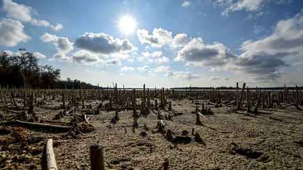 «Почти неизбежно» — В ООН предупредили о росте цен на продукты во всем мире из-за подрыва Каховской ГЭС