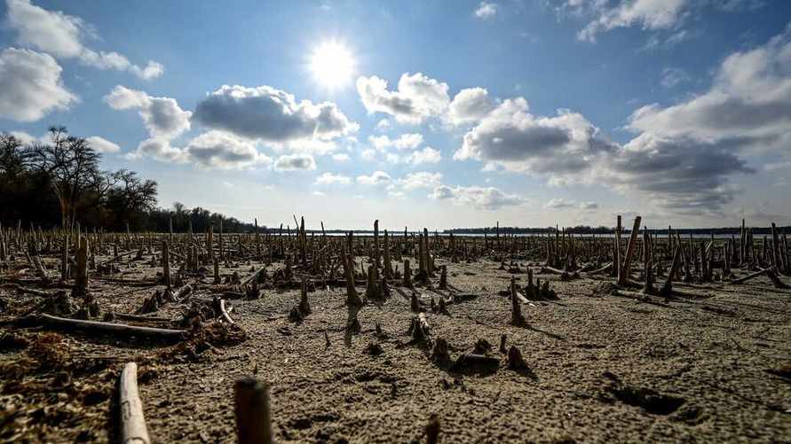 "Почти неизбежно" - В ООН предупредили о росте цен на продукты во всем мире из-за подрыва Каховской ГЭС