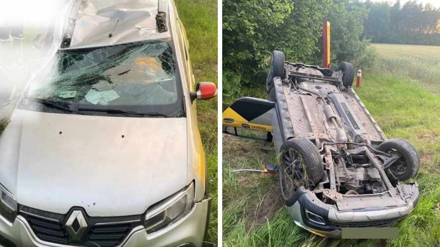 Из-за барсука под Гродно перевернулось такси. Как так?