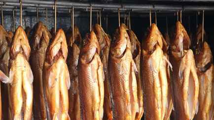 Как правильно хранить копченую рыбу? Нашли способ продлить ее срок годности