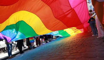В Эстонии официально разрешили однополые браки. Но есть нюансы
