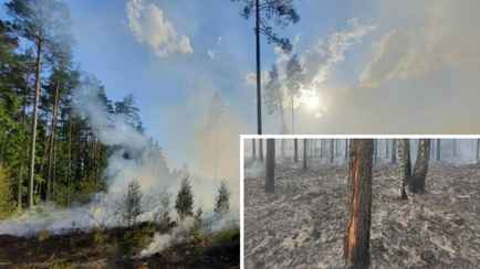 В Минлесхозе показали последствия сухой грозы. Что это такое?