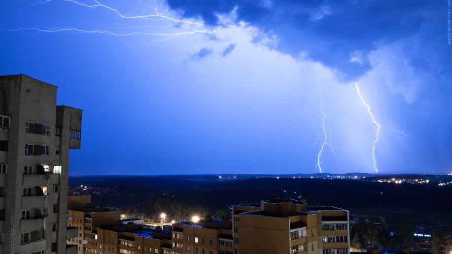 Фото: Константин Харламов