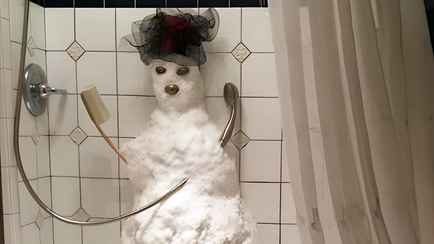 Почему в жару нельзя принимать прохладный душ? Эксперты рассказали, чем заменить