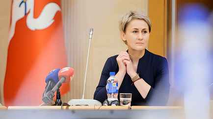 Генпрокуратура Литвы завела уголовное дело против властей Беларуси. Что происходит?