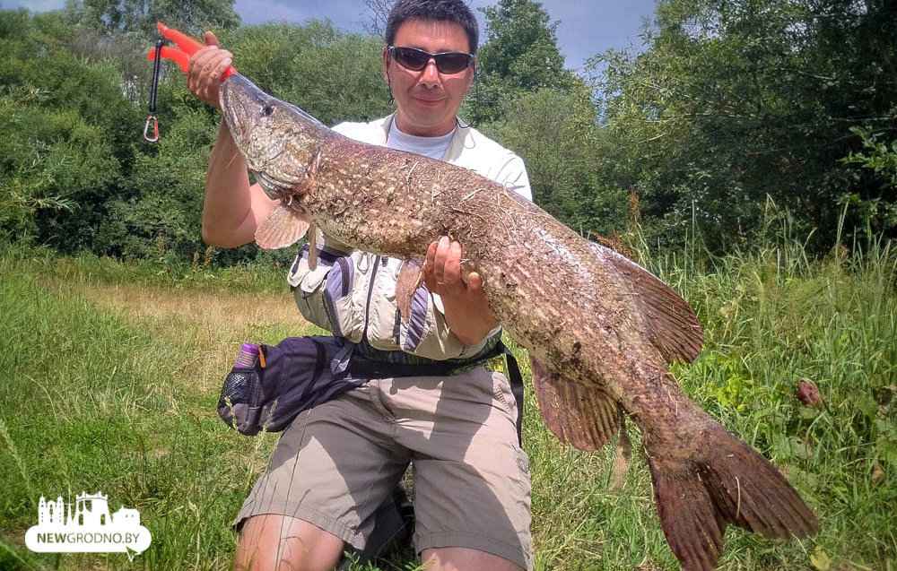 Фото с сайта newgrodno.by