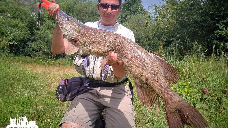 Фото с сайта newgrodno.by