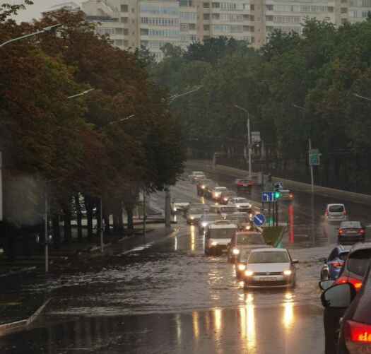 Фото: соцсети