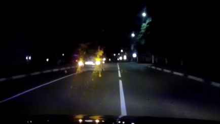 14 штрафов за езду без прав. ГАИ опубликовала видео погони в Могилеве за пьяным водителем