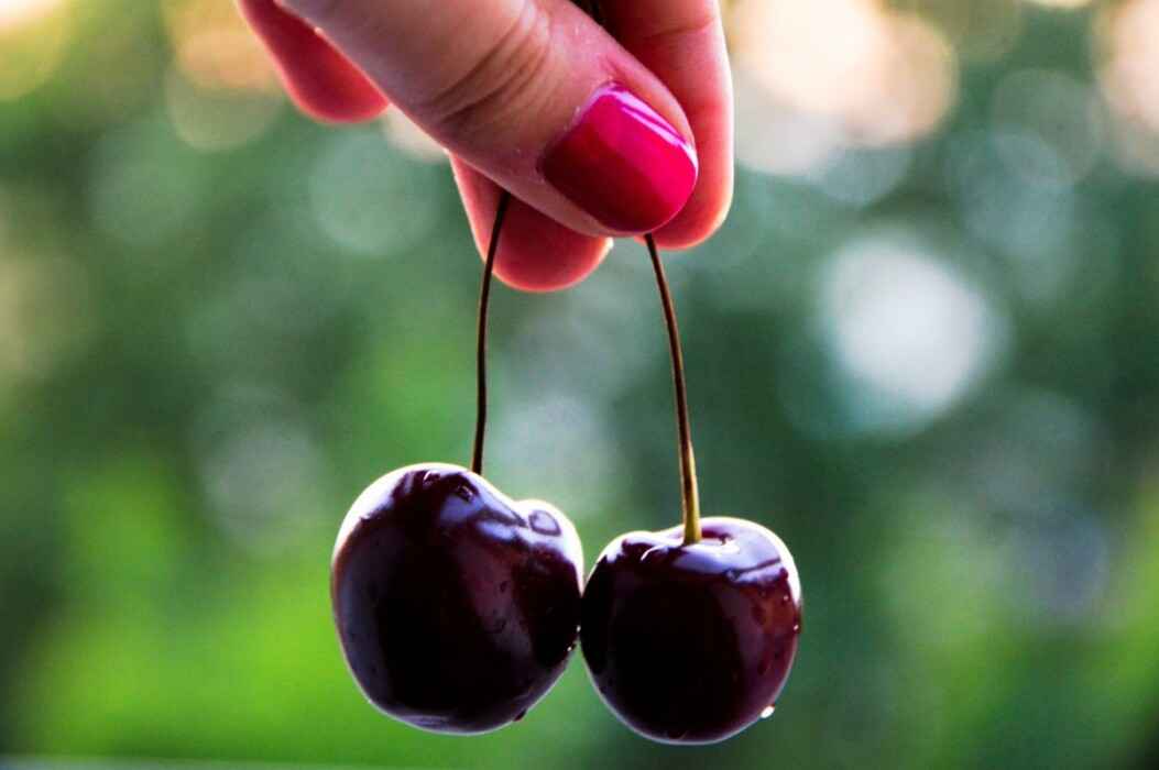 Почему белорусам нельзя выбрасывать хвостики от вишен? Лучше приготовить полезный отвар