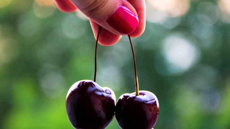 Почему белорусам нельзя выбрасывать хвостики от вишен? Лучше приготовить полезный отвар