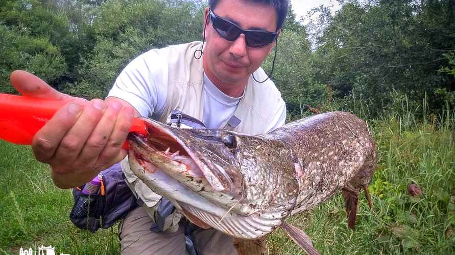 Фото с сайта newgrodno.by