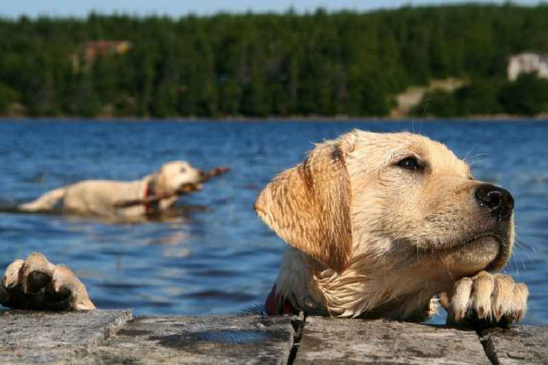 Фото иллюстрационное