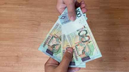 «Порядка 100 рублей в день» — Минчан позвали на сезонную подработку. Что надо делать?