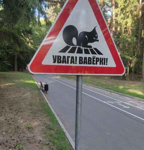 Фото: Facebook / группа «Путешествуйте по Беларуси»