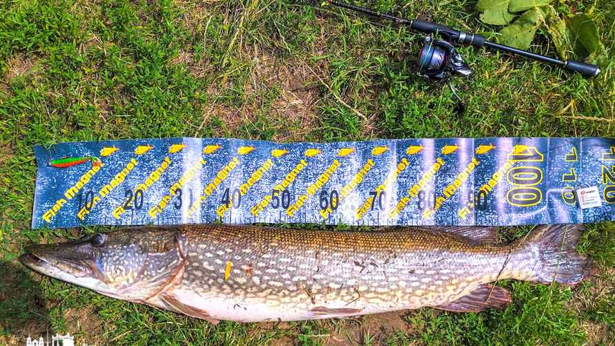 Фото с сайта newgrodno.by