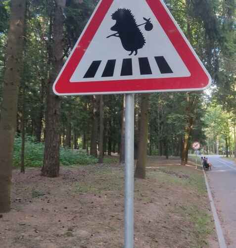 Фото: Facebook / группа «Путешествуйте по Беларуси»