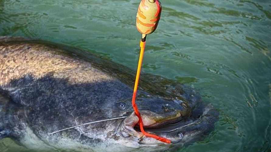 Иллюстрированное фото/соцсети