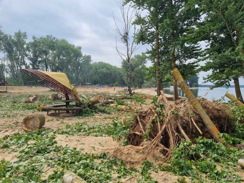 Фото: Onliner.by