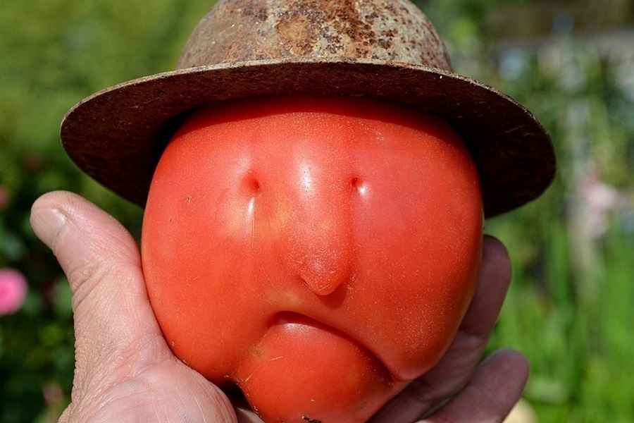 Фото иллюстрационное