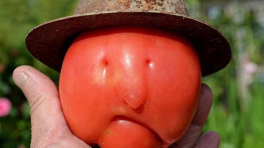 Фото иллюстрационное