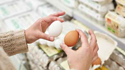 Какие яйца полезнее — белые или коричневые? Узнали, как выбрать самые лучшие