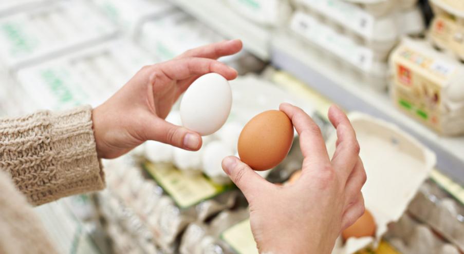 В чем разница между коричневыми и белыми яйцами?