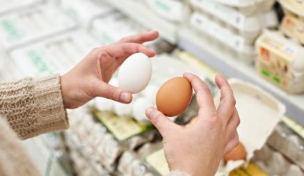 Какие яйца полезнее — белые или коричневые? Узнали, как выбрать самые лучшие