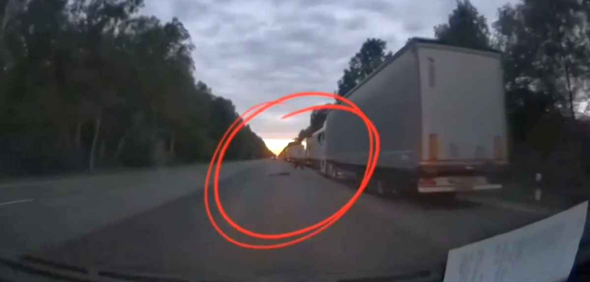 Под Брестом мужчина лег под колеса несущегося на него автомобиля