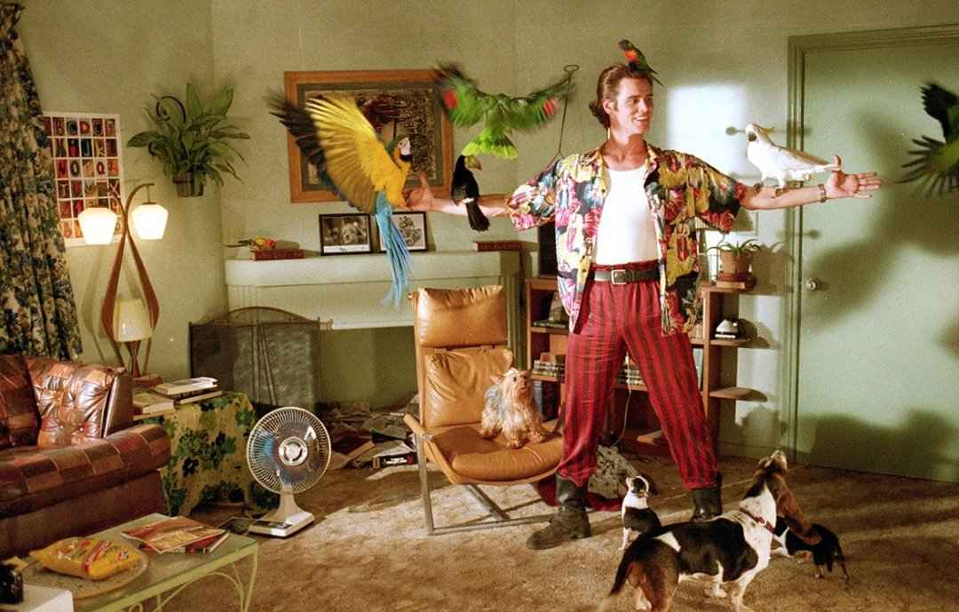 11 видов. Адвокат рассказал, каких животных белорусам нельзя держать в квартирах