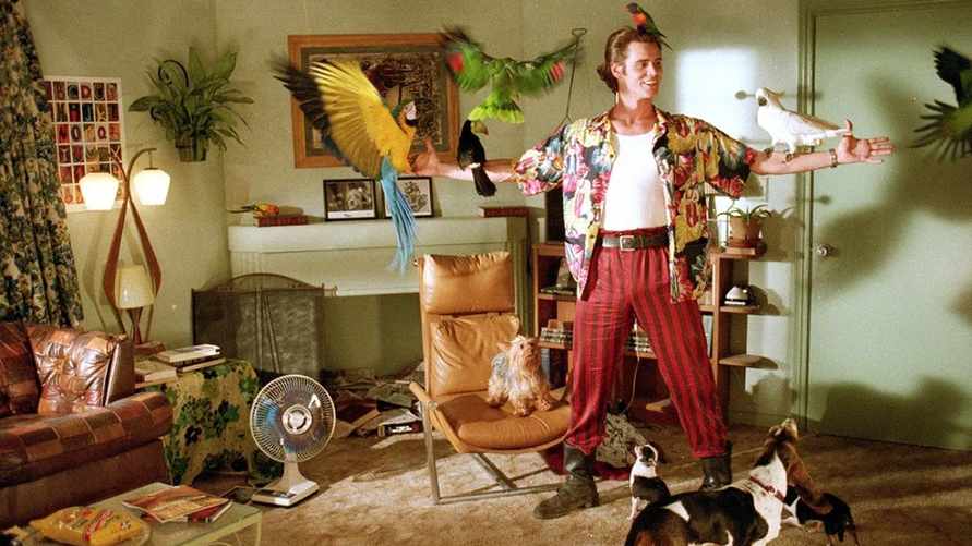 11 видов. Адвокат рассказал, каких животных белорусам нельзя держать в квартирах