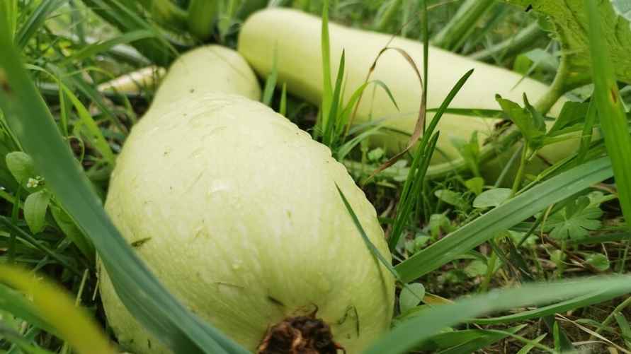 Фото: Telegraf.news