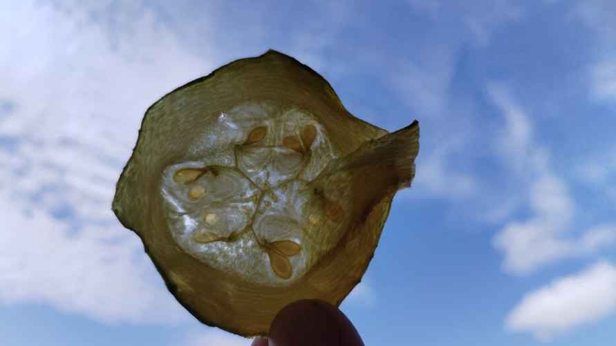 Фото: Telegraf.news