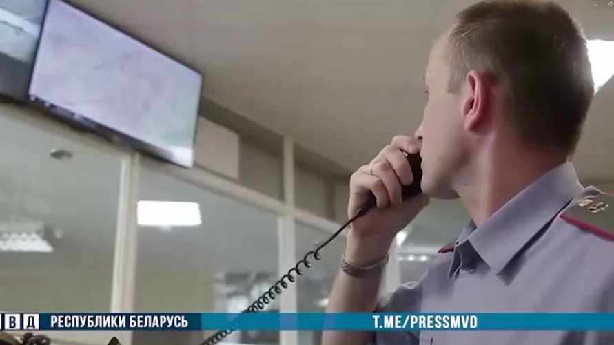 Фото: скриншот МВД