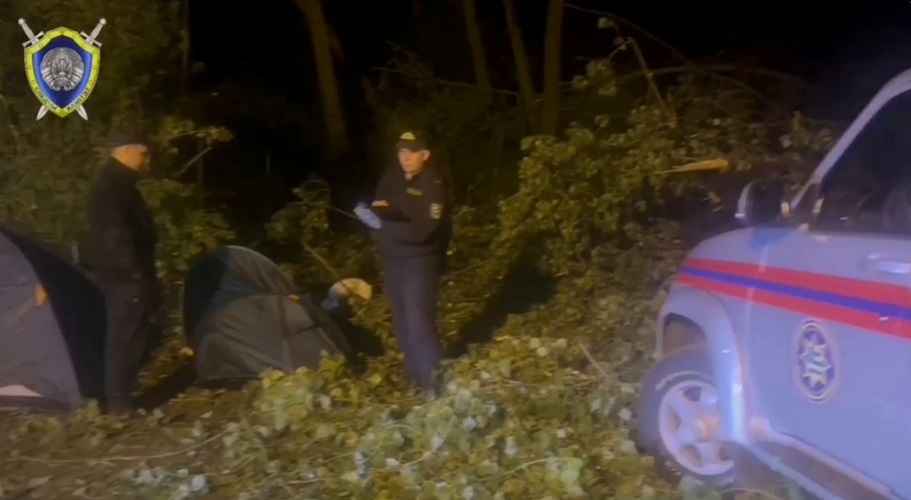 Фото: скриншот видео