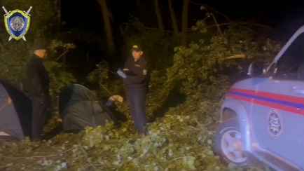 В СК показали видео с места трагедии на Минском море