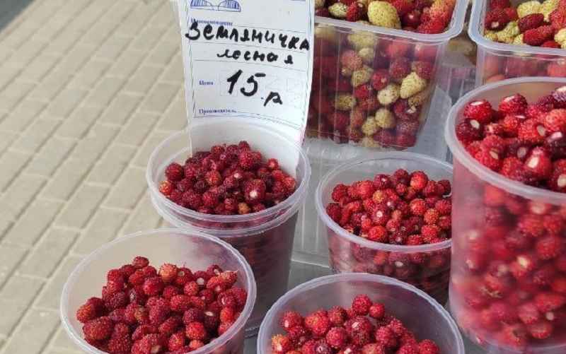 Фото: onliner.by