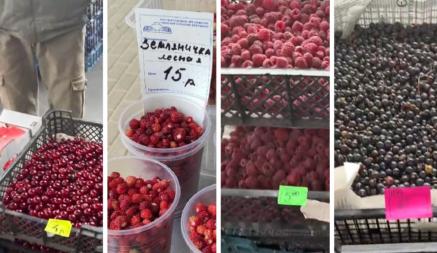 75 рублей за кило земляники. Узнали цены на лесные и садовые ягоды в Беларуси