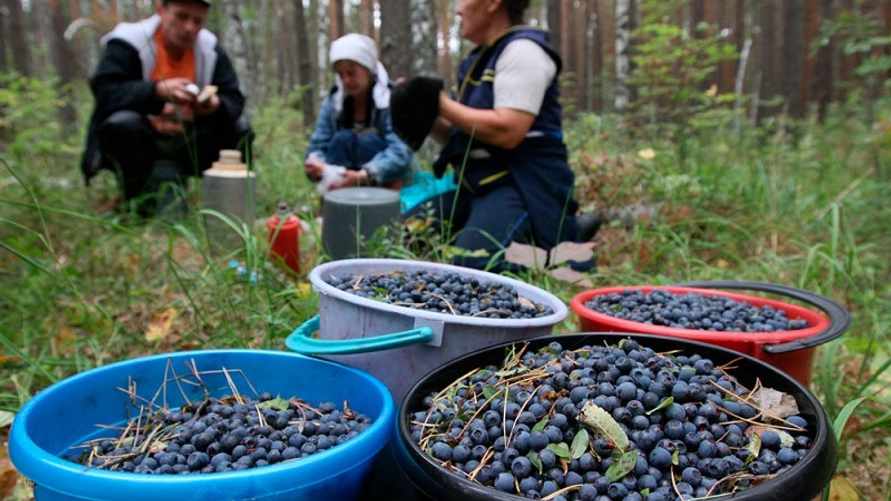 Фото иллюстрационное: rg.profkiosk.ru