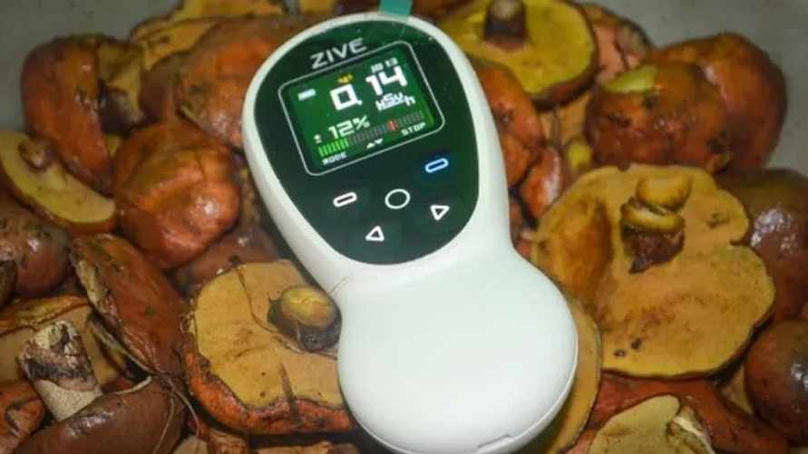 Иллюстрированное фото