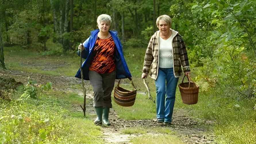 Фото иллюстрационное