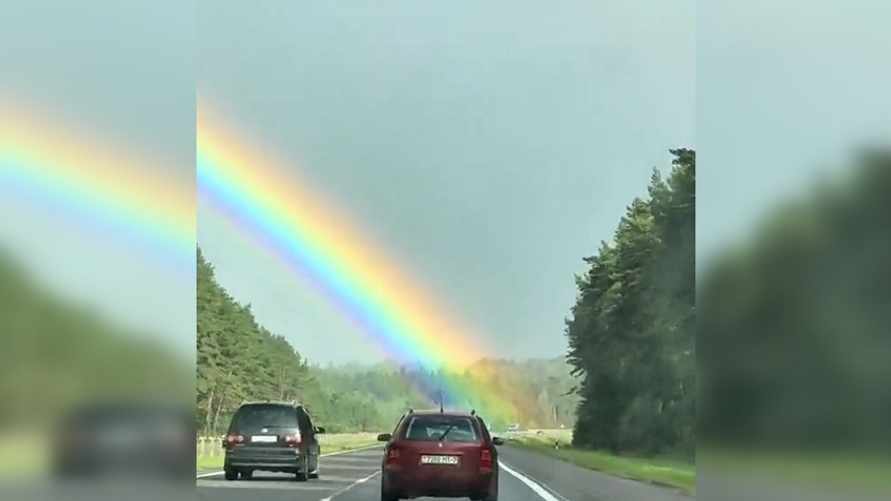 Фото: скриншот видео