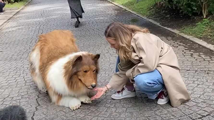 Фото: скриншот видео