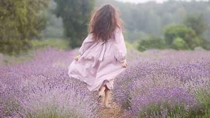 В Беларуси начался сезон лаванды. В какой области можно найти «Лиловый прованс»?