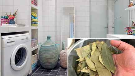 Зачем белорусам хранить лавровый лист в ванной? Спасет вас в неприятной ситуации