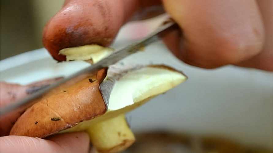 Фото иллюстрационное