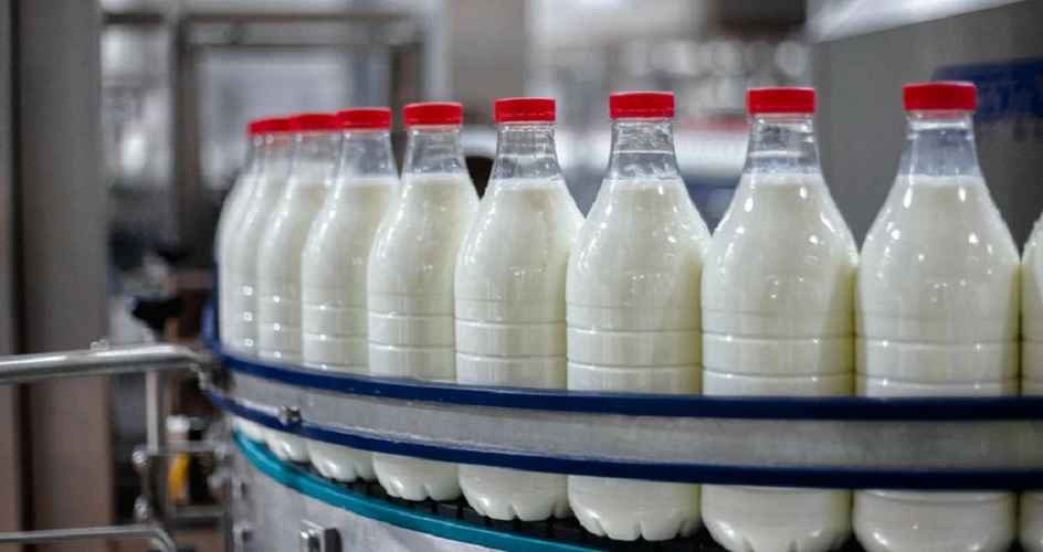 Фото иллюстрационное