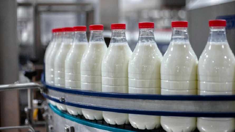 Фото иллюстрационное